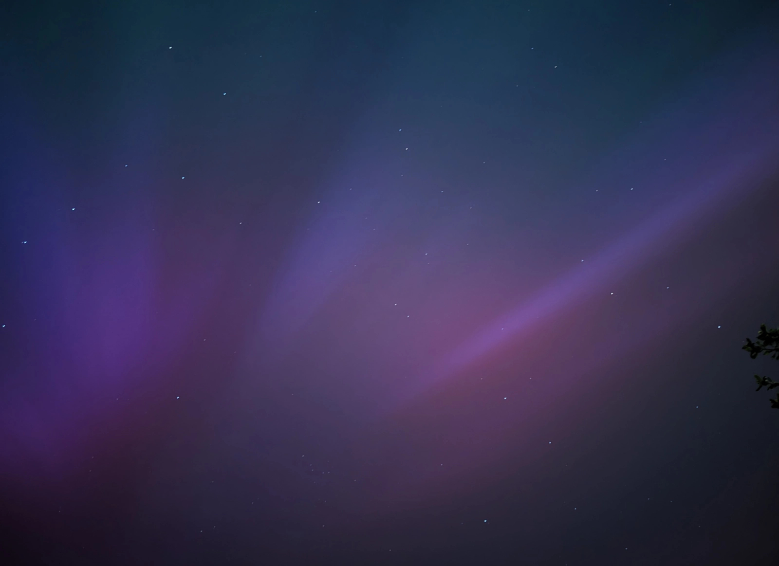 A photo of the Aurora Borealis visible in the night sky. In this photo there are vertical streaks of light in differing shades of purple & pink, fraying into green towards the top. The stars are visible behind it.