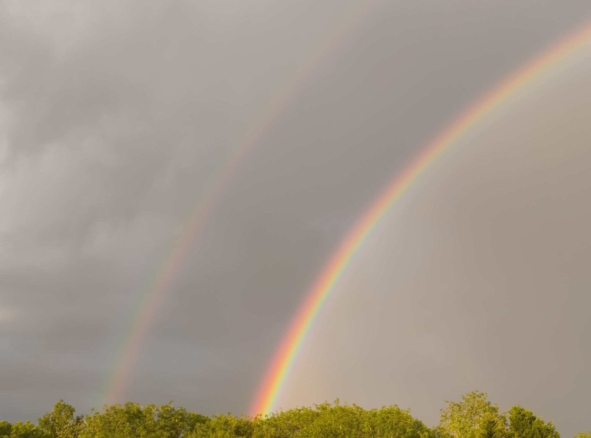 A photo of a double rainbow in front of some dark clouds. Across the bottom of the image is a green treeline.