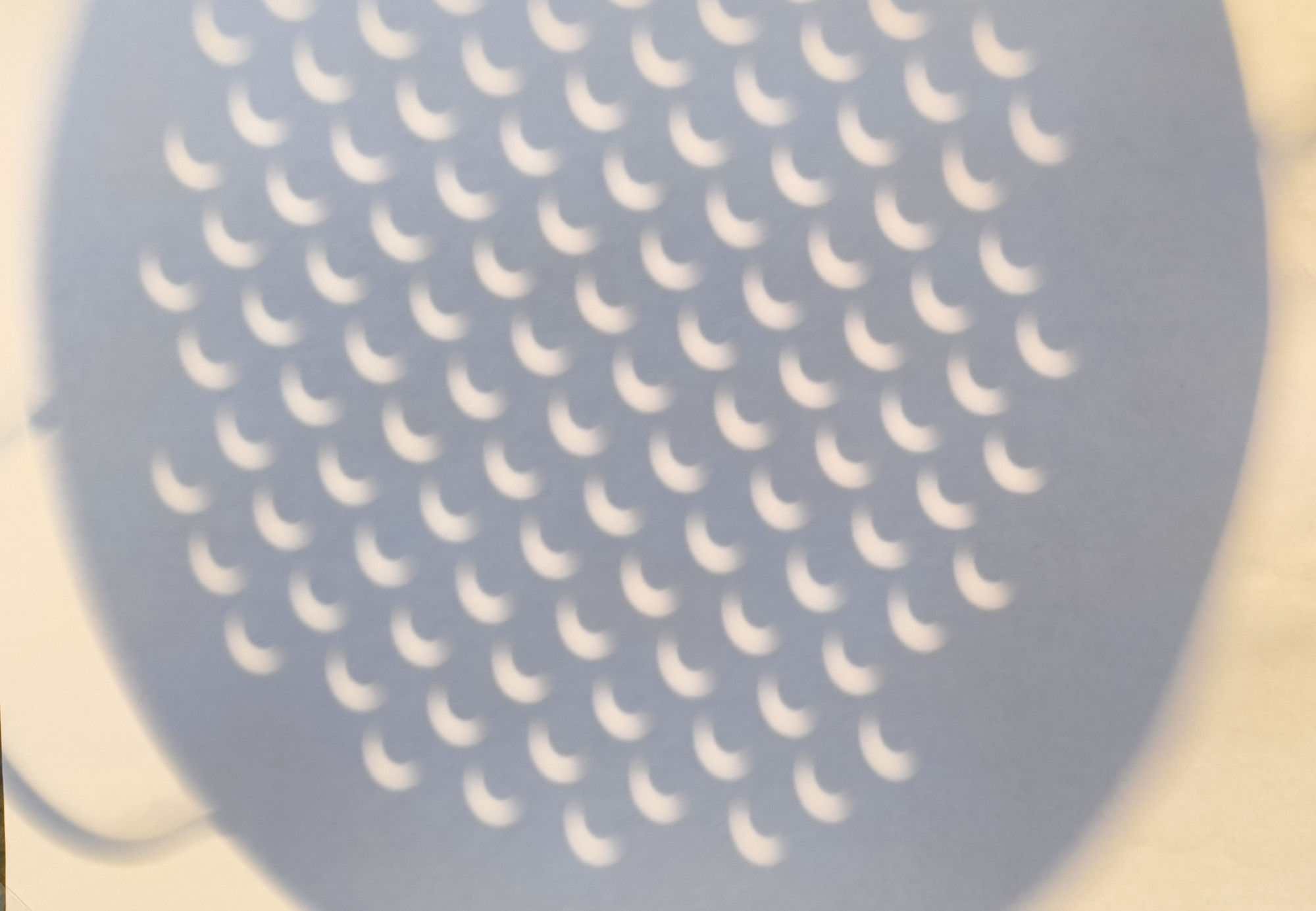 A photo of crescent shaped shadows on a piece of paper. It's the shadow of a colander during an eclipse, where all the holes appear as crescents.
